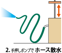 石巻さかさかさ