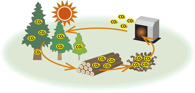木材と二酸化炭素の循環